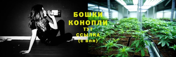 spice Абаза