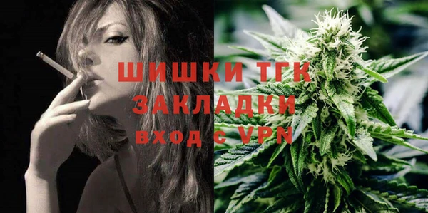 дживик Абинск