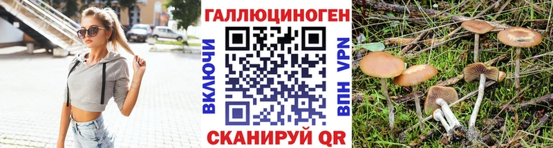 купить наркоту  Уварово  OMG ТОР  Галлюциногенные грибы мицелий 